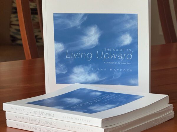 The Guide to Living Upward: A Companion to After Rain